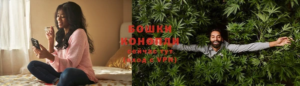 прущие грибы Алексин